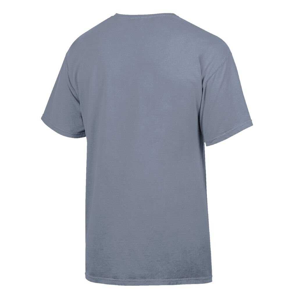 UAlbany Great Danes ComfortWash Logo Over Stacked T-Shirt