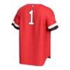 Northeastern Huskies GameDay Greats Unisex Lightweight Collegiate Baseball Fashion Jersey - Red - Detail View