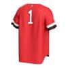 Northeastern Huskies GameDay Greats Youth Lightweight Collegiate Baseball Fashion Jersey - Red - Detail View