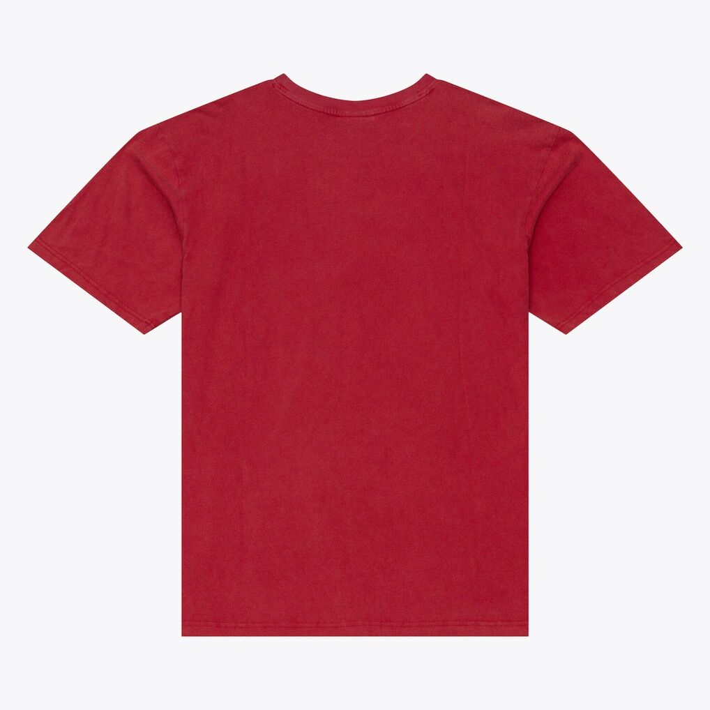 Carolina Hurricanes Mitchell & Ness Core Essentials T-Shirt - Scarlet