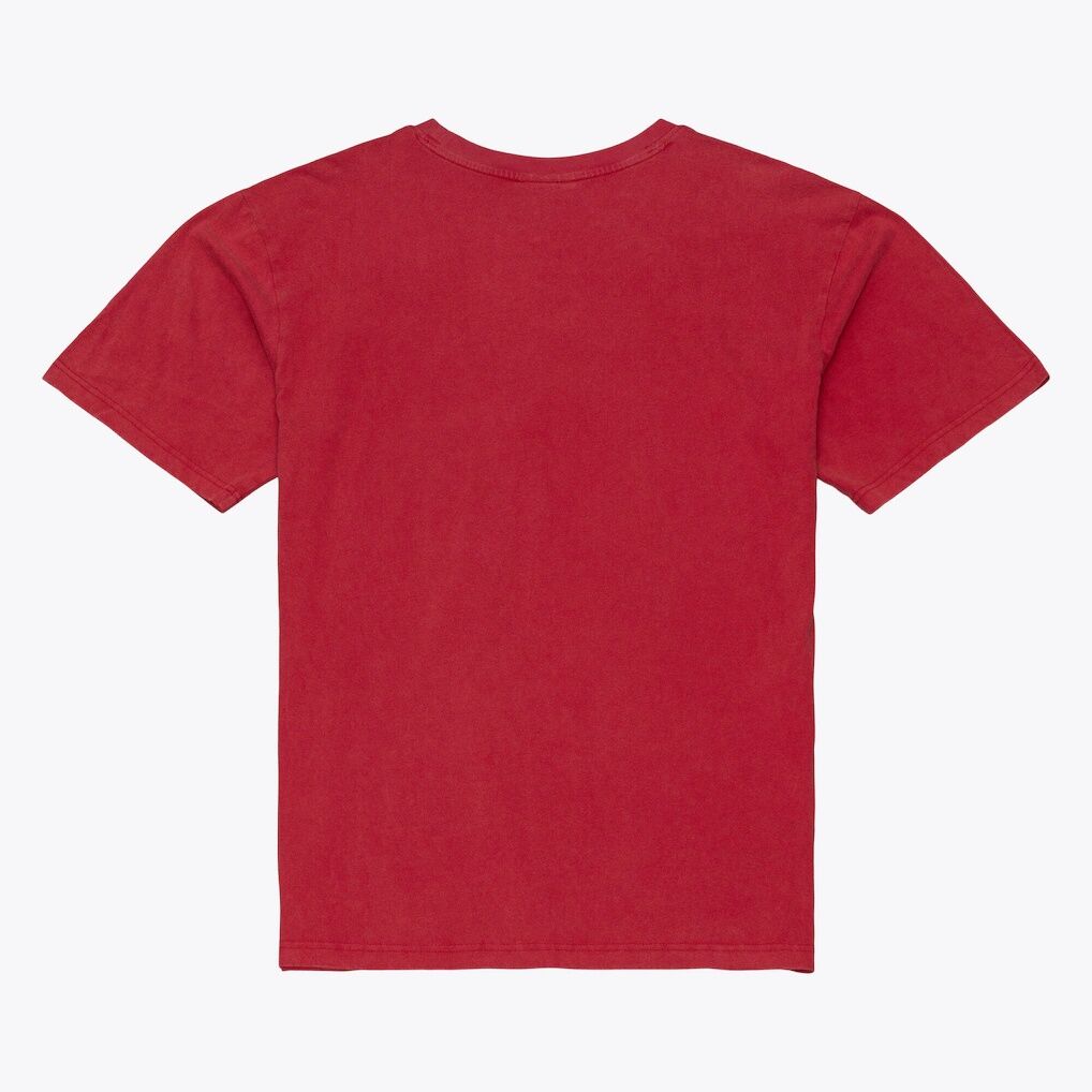 Florida State Seminoles Mitchell & Ness Core Icon T-Shirt - Garnet