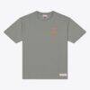 Tennessee Volunteers Mitchell & Ness Core Icon T-Shirt - Gray - Front View