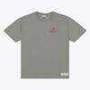 Alabama Crimson Tide Mitchell & Ness Core Icon T-Shirt - Gray - Front View