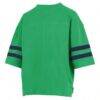 Notre Dame Fighting Irish Pressbox Women's Wayne Tyler Cropped T-Shirt - Green - Detail View