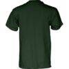 South Florida Bulls Blue 84 Unisex 2026 American Conference Men's Basketball Tournament Champions T-Shirt - Green - Detail View