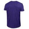 Northwestern Wildcats Champion Vintage Triumph Tri-Blend T-Shirt - Purple - Detail View
