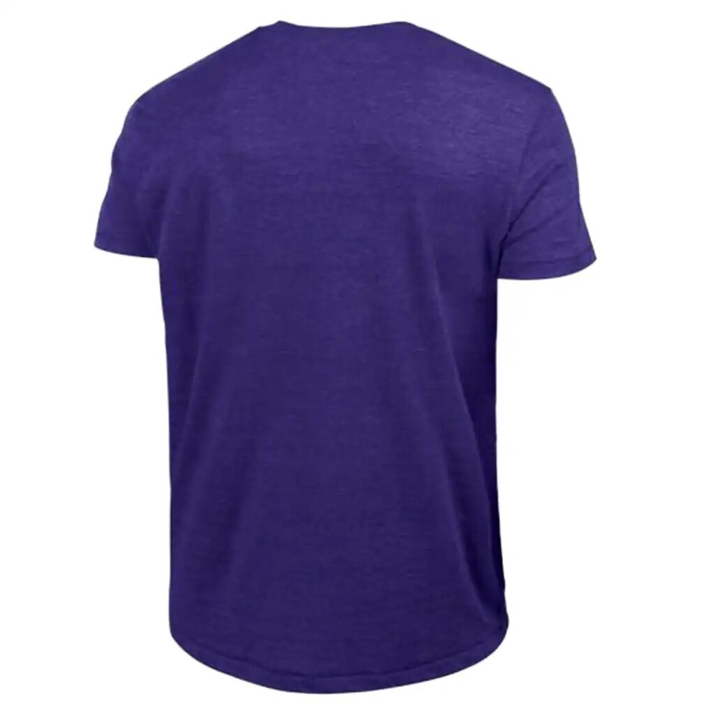 Northwestern Wildcats Champion Vintage Triumph Tri-Blend T-Shirt