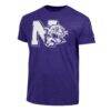 Northwestern Wildcats Champion Vintage Triumph Tri-Blend T-Shirt - Purple - Side View