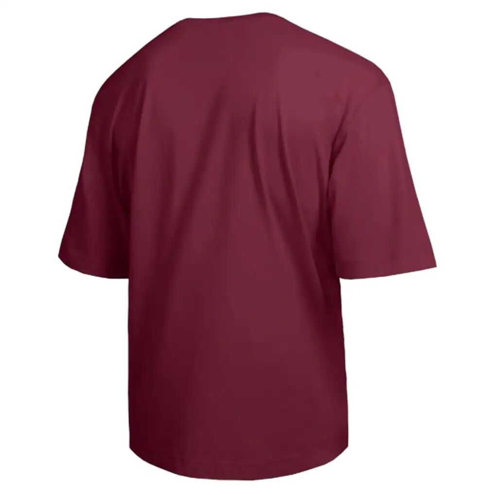 South Carolina Gamecocks Champion Scholar All-Star T-Shirt - Garnet