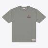 Arizona Cardinals Mitchell & Ness Core Essentials Micro Logo T-Shirt - Gray - Front View