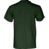South Florida Bulls Blue 84 Unisex 2026 American Conference Softball Tournament Champions T-Shirt - Green - Detail View