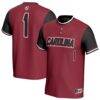 South Carolina Gamecocks GameDay Greats Unisex Lightweight Collegiate Softball Fashion Jersey - - Front View
