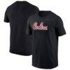 South Carolina Gamecocks Nike Script T-Shirt - Black - Front View