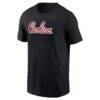 South Carolina Gamecocks Nike Script T-Shirt - Black - Side View