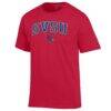 Saginaw Valley State Cardinals Champion Campus T-Shirt - Scarlet - Side View