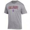 UAlbany Great Danes Champion Campus T-Shirt - Gray - Side View