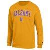 UAlbany Great Danes Champion Campus Long-Sleeve T-Shirt - Yellow - Side View