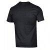 Niagara Purple Eagles Champion Dad Logo T-Shirt - Black - Detail View