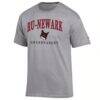 Rutgers Newark Scarlet Raiders Champion Grandparent Arch Logo T-Shirt - Gray - Side View
