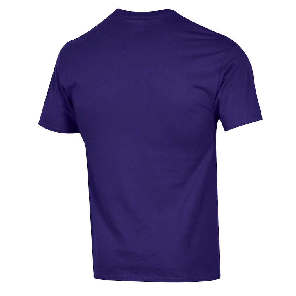 Niagara Purple Eagles Champion Dad Pill Box T-Shirt