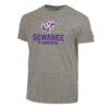 Sewanee Tigers Champion Ultimate Tri-Blend T-Shirt - Gray - Front View