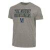 Mount St. Mary's Mountaineers Champion Stacked Ultimate Tri-Blend T-Shirt - Gray - Front View
