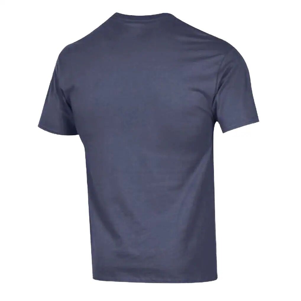 Tampa Bay Rays Champion Baseball T-Shirt