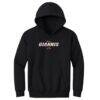 Giannis Antetokounmpo Miami Heat 500 Level Youth Team Font Hoodie - Black - Front View