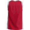 Nicholls State Colonels GameDay Greats Lightweight Basketball Jersey - Red - Detail View