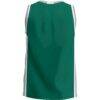 Northwest Missouri State Bearcats GameDay Greats Lightweight Basketball Jersey - Green - Detail View
