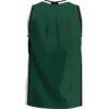 Portland State Vikings GameDay Greats Lightweight Basketball Jersey - Green - Detail View