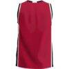 Saginaw Valley State Cardinals GameDay Greats Lightweight Basketball Jersey - Red - Detail View