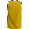 Southern Arkansas Muleriders GameDay Greats Lightweight Basketball Jersey - Gold - Detail View