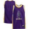 UAlbany Great Danes GameDay Greats Lightweight Basketball Jersey - Purple - Front View
