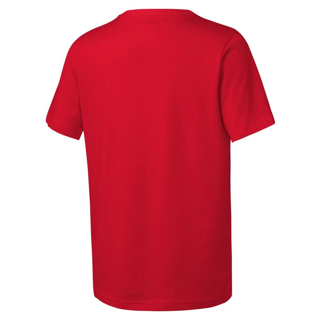 San Francisco 49ers Nike Youth Hometown Rewind Slub Dri-FIT T-Shirt - Scarlet