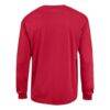 Atlanta Hawks Champion Jersey Long Sleeve T-Shirt - Red - Detail View