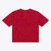 Tampa Bay Buccaneers Mitchell & Ness Women's Core Essentials Micro Logo Boxy Crop T-Shirt - Scarlet - Back View