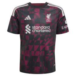Liverpool adidas Youth 2026/27 Third Replica Jersey - Black - Alt2