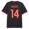 Luka Modrić AC Milan Puma 2026/27 Third Replica Jersey - Gray - Detail View