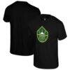 Seattle Storm Stadium Essentials Unisex Origins Color Logo T-Shirt - Black - Front View