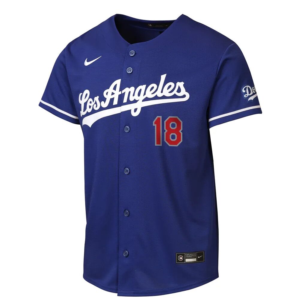 Yoshinobu Yamamoto Los Angeles Dodgers Nike Youth Alternate Stadium Jersey - Royal
