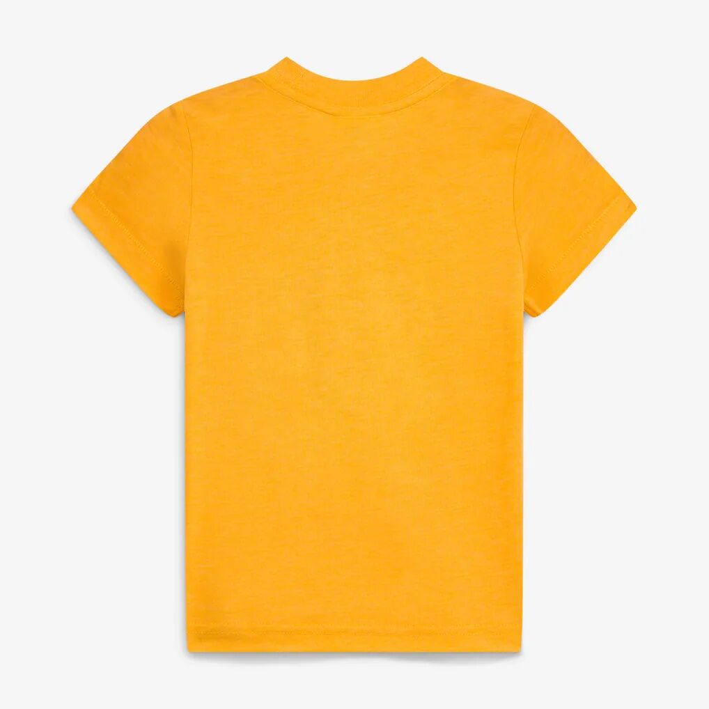 Kansas City Chiefs Homage Toddler NFL x Grateful Dead Tri-Blend T-Shirt