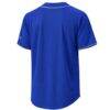 Chicago Cubs Stitches Jersey - - Detail View
