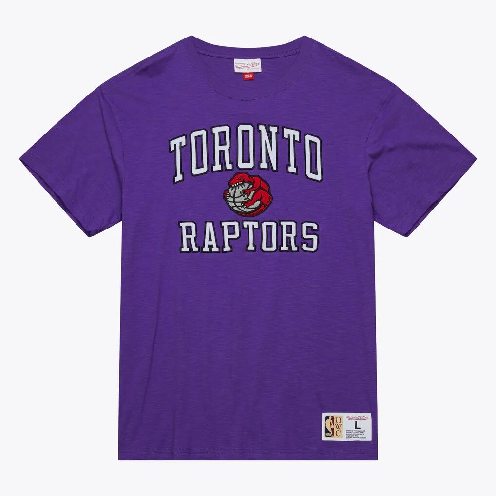 Toronto Raptors Mitchell & Ness Hardwood Classics Legendary Slub T-Shirt - Purple - Front View