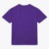 Toronto Raptors Mitchell & Ness Hardwood Classics Legendary Slub T-Shirt - Purple - Side View