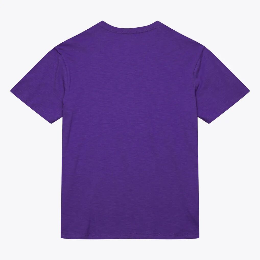 Toronto Raptors Mitchell & Ness Hardwood Classics Legendary Slub T-Shirt