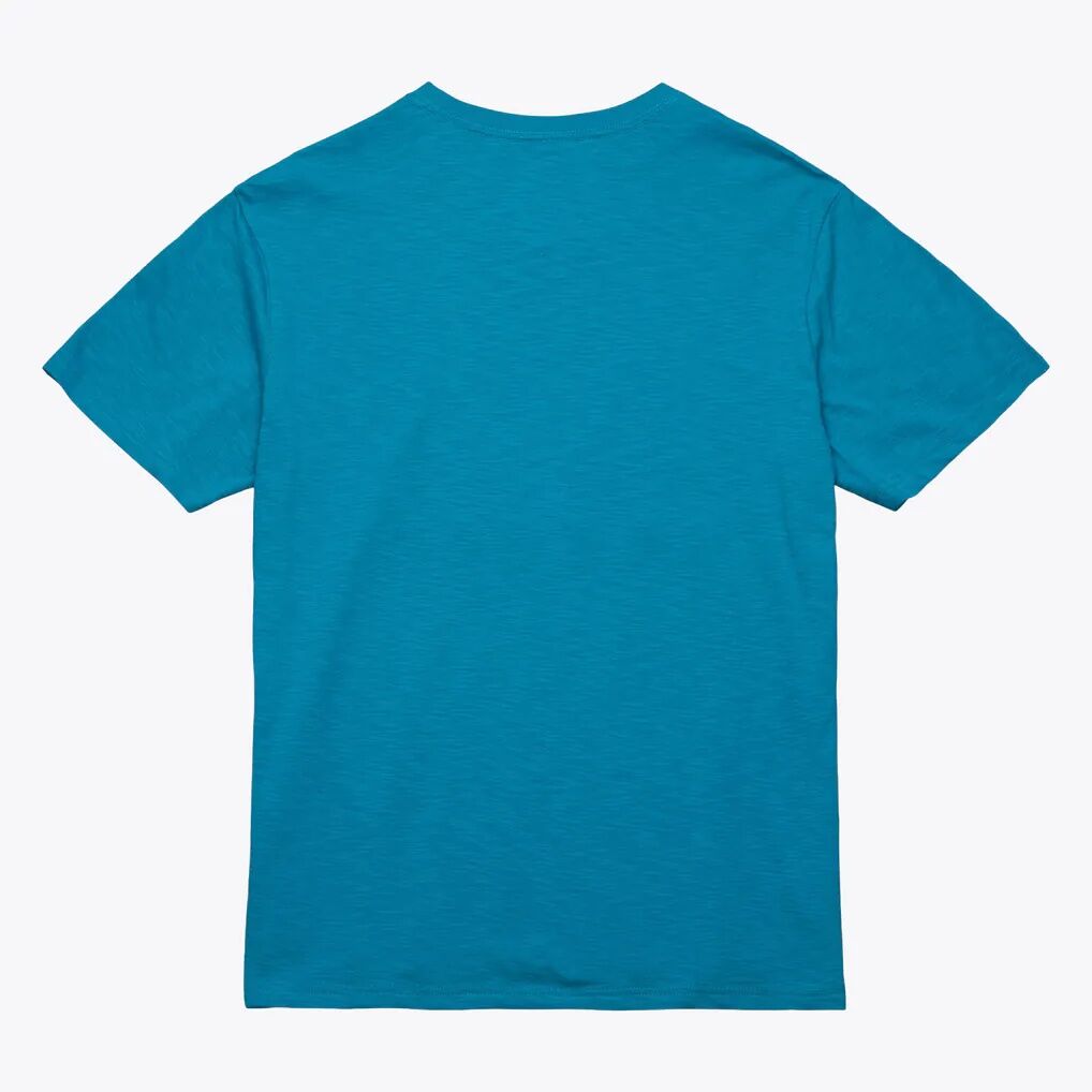 Charlotte Hornets Mitchell & Ness Hardwood Classics Legendary Slub T-Shirt