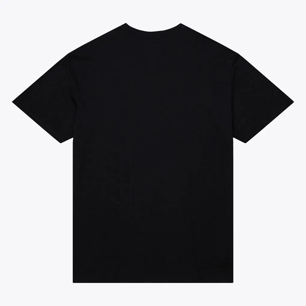 Sacramento Kings Mitchell & Ness Hardwood Classics Legendary Slub T-Shirt - Black - Side View